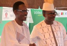 « Sans une majorité parlementaire solide, certaines réformes pourraient être bloquées » (Boubacar Siddighy Diallo)